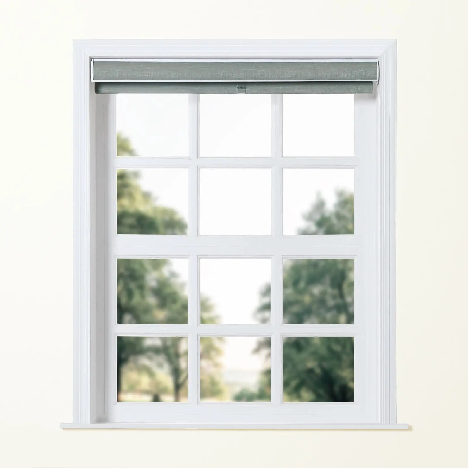 Product image 101