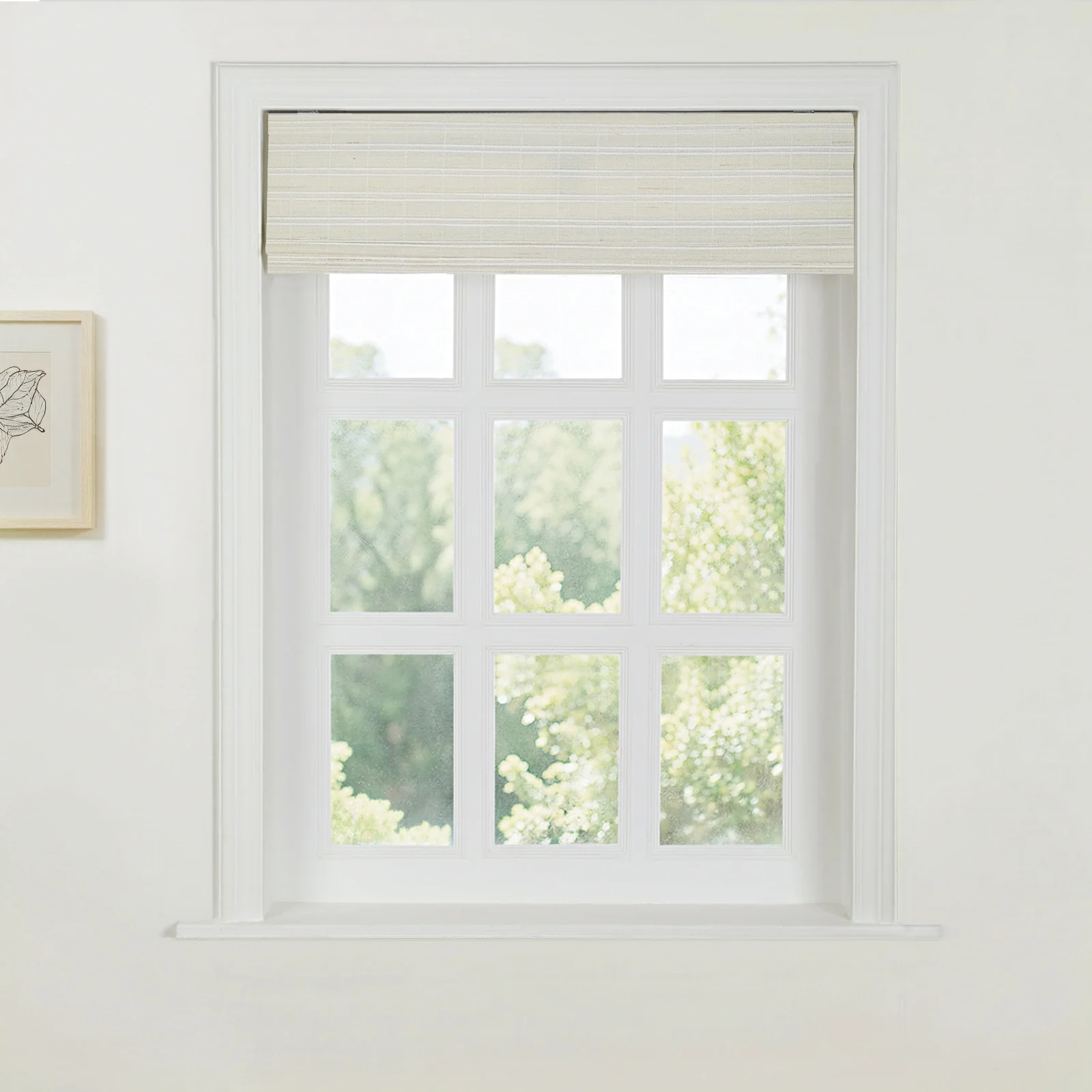 Product image 100