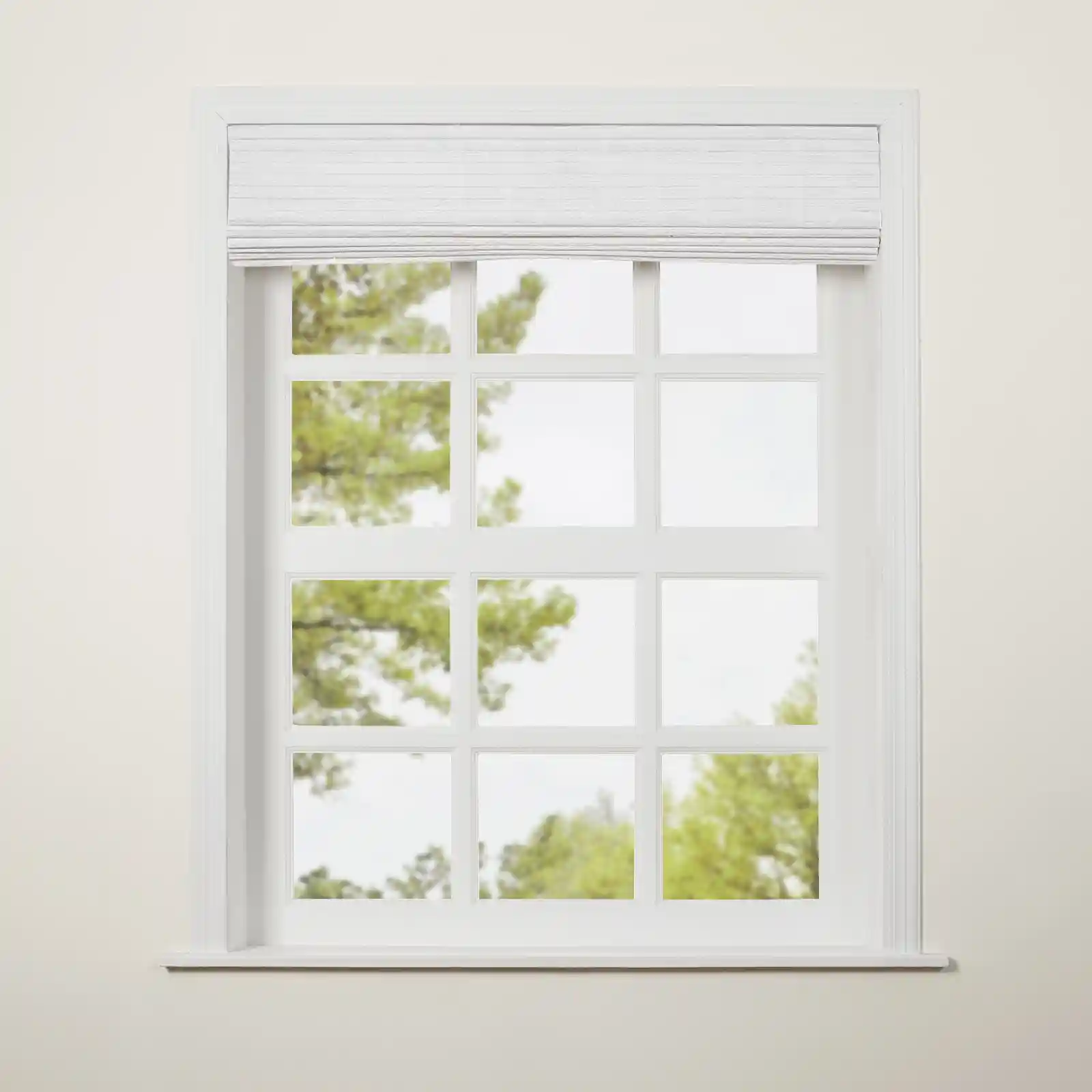 Product image 101